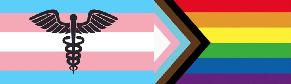 Trans-Health-Flag